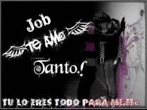 Te Amo Job