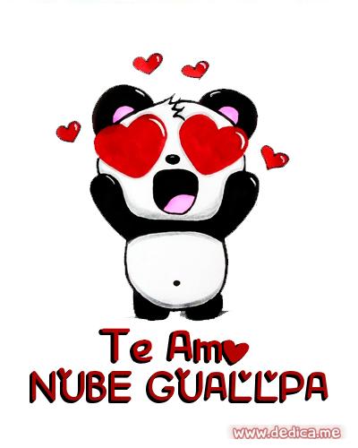 Un día llegastes tu NUBE GUALLPA