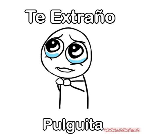 Te extraño Pulguita