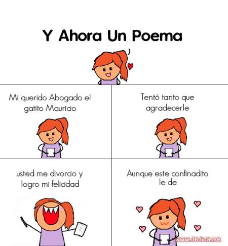 Mi querido Abogado el gatito Mauricio