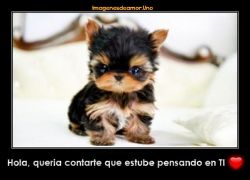Hola quería contarte que estuve pensando...