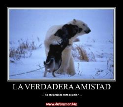 La verdadera amistad no entiende de raza...