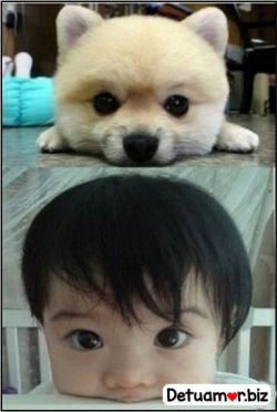 Poses iguales, perrito y bebe