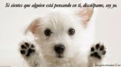 Si sientes que alguien está pensando en...