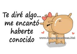 Te diré algo, me encantó haberte...