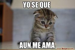 Yo sé que aun me ama :(
