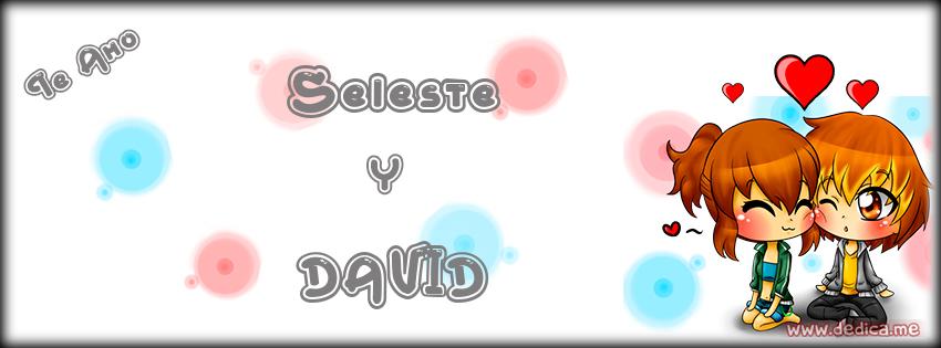 Portada Facebook Seleste y DAVID