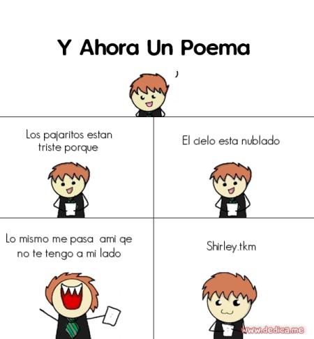 Los pajaritos estan triste porque