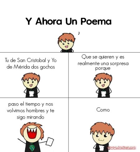 Tu de San Cristobal y Yo de Mérida dos gochos